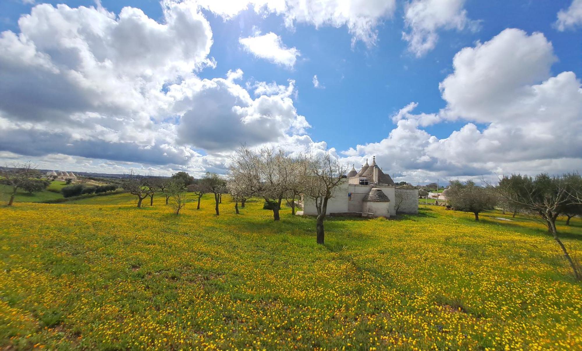 Trulli Carlo Anna Villa Locorotondo Buitenkant foto