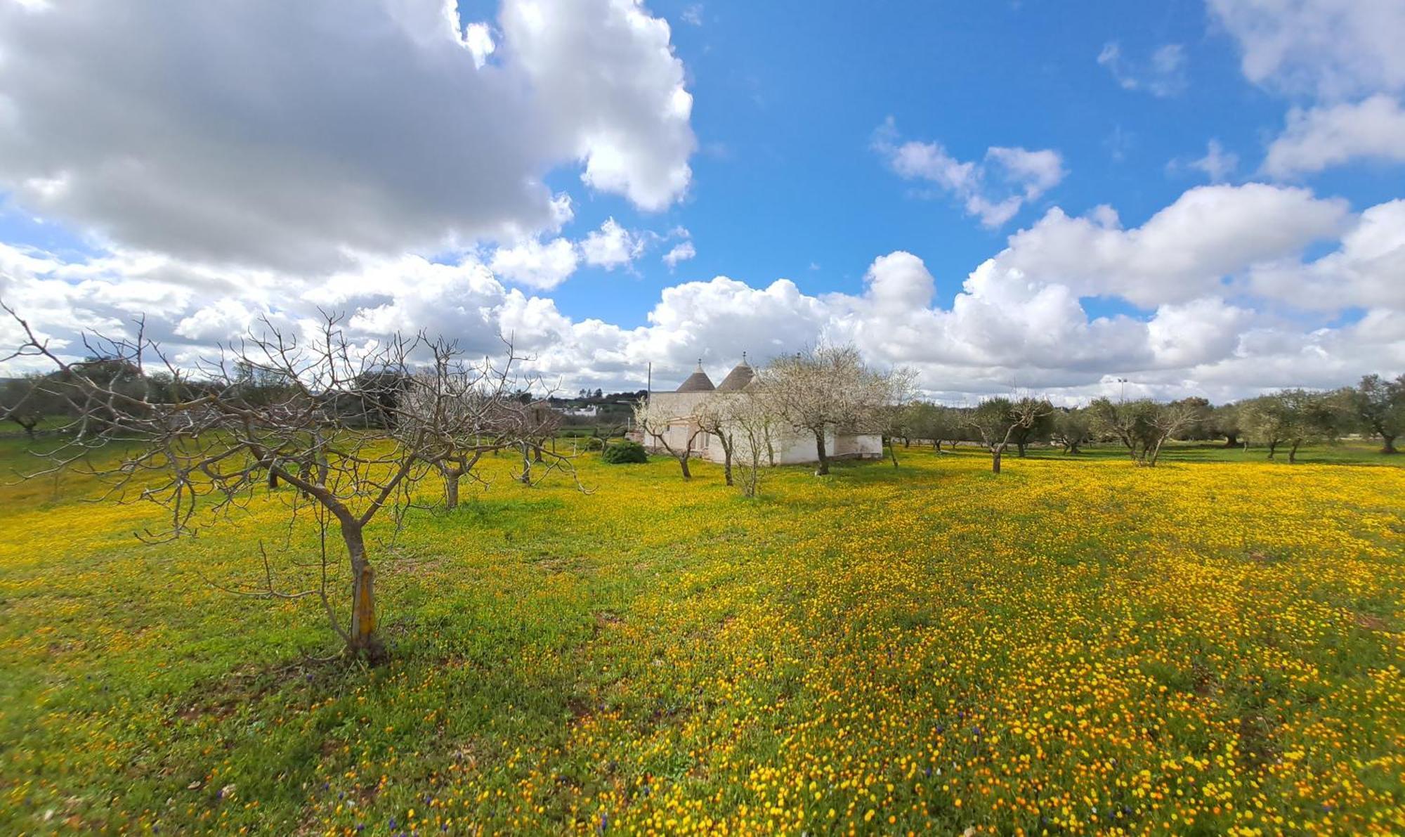Trulli Carlo Anna Villa Locorotondo Buitenkant foto