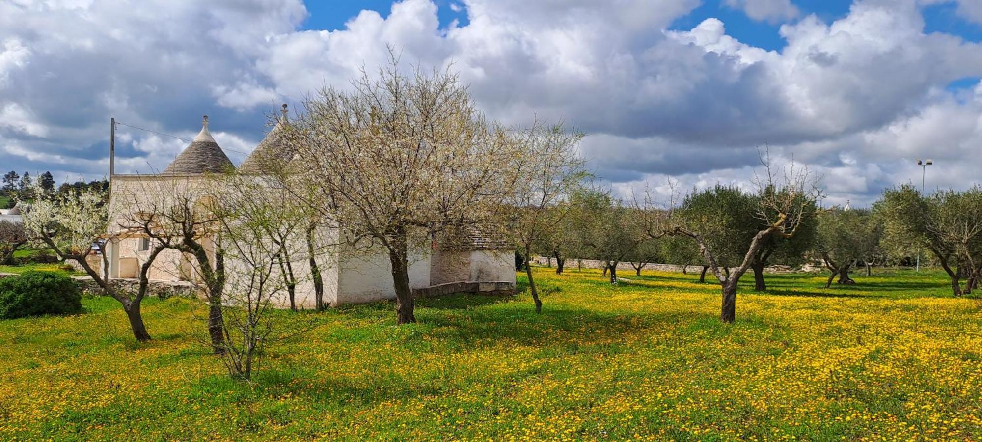 Trulli Carlo Anna Villa Locorotondo Buitenkant foto